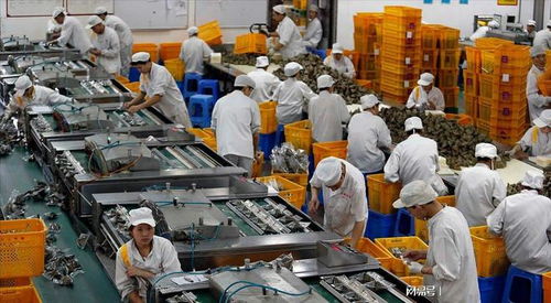 大學生暑期流水線 月入五六千，只為賺出一臺iPad